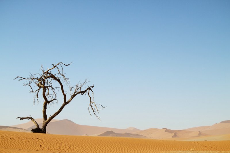 c_2015_09_05 07_27_37_665